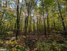 0 HEALEY LAKE Road | Bracebridge Ontario | Slide Image Fourteen