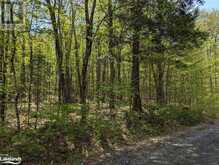 0 HEALEY LAKE Road | Bracebridge Ontario | Slide Image Six