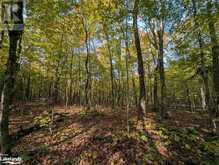 0 HEALEY LAKE Road | Bracebridge Ontario | Slide Image Sixteen