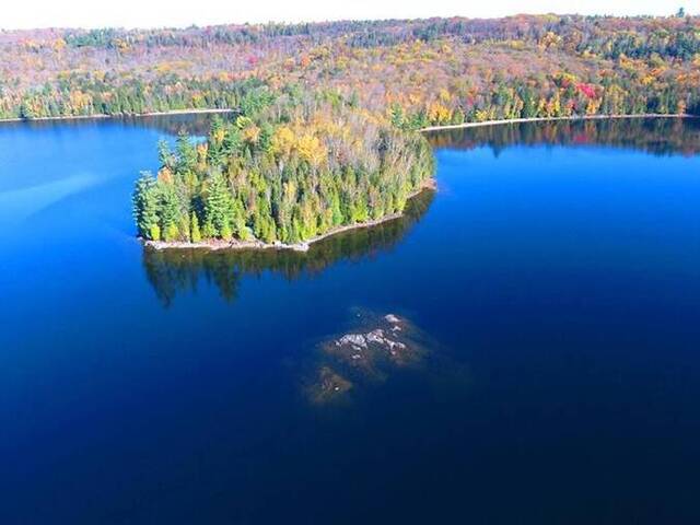 11045 GRACE LAKE - NORTH SHORE Wilberforce Ontario, K0L 3C0