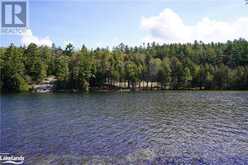 98A & 98B MAILE Run | Rosseau Ontario | Slide Image Eight