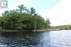 0 MILL Lake | McDougall Ontario | Slide Image Thirteen