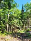 LOT 5 FAIRY FALLS Road | Baysville Ontario | Slide Image Thirteen