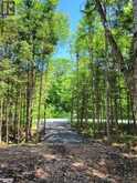 LOT 5 FAIRY FALLS Road | Baysville Ontario | Slide Image Fifteen