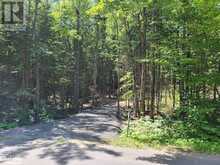 LOT 5 FAIRY FALLS Road | Baysville Ontario | Slide Image One