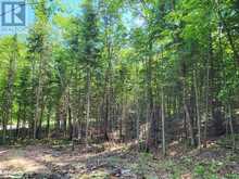 LOT 5 FAIRY FALLS ROAD | Baysville Ontario | Slide Image Ten