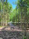 LOT 5 FAIRY FALLS ROAD | Baysville Ontario | Slide Image Fourteen