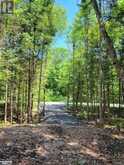LOT 5 FAIRY FALLS ROAD | Baysville Ontario | Slide Image Sixteen