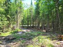 LOT 5 FAIRY FALLS ROAD | Baysville Ontario | Slide Image Eleven