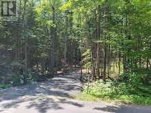 LOT 5 FAIRY FALLS ROAD | Baysville Ontario | Slide Image One
