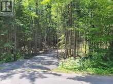 LOT 5 FAIRY FALLS ROAD | Baysville Ontario | Slide Image Two