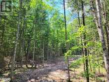 LOT 5 FAIRY FALLS ROAD | Baysville Ontario | Slide Image Four