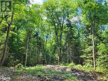 LOT 5 FAIRY FALLS ROAD | Baysville Ontario | Slide Image Eight