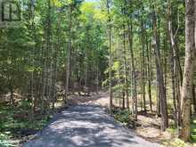 LOT 5 FAIRY FALLS ROAD | Baysville Ontario | Slide Image Three