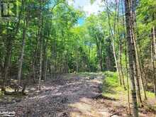 LOT 5 FAIRY FALLS ROAD | Baysville Ontario | Slide Image Five