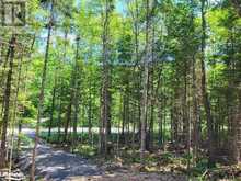 LOT 5 FAIRY FALLS ROAD | Baysville Ontario | Slide Image Seven