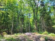 LOT 5 FAIRY FALLS ROAD | Baysville Ontario | Slide Image Nine