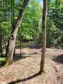 LOT 4 FAIRY FALLS Road | Baysville Ontario | Slide Image Ten