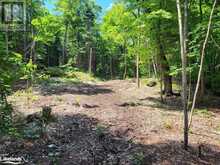 LOT 4 FAIRY FALLS Road | Baysville Ontario | Slide Image Four