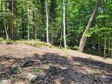 LOT 4 FAIRY FALLS Road | Baysville Ontario | Slide Image Six