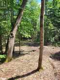 LOT 4 FAIRY FALLS ROAD | Lake of Bays Ontario | Slide Image Ten