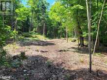 LOT 4 FAIRY FALLS ROAD | Lake of Bays Ontario | Slide Image Four