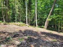 LOT 4 FAIRY FALLS ROAD | Lake of Bays Ontario | Slide Image Six