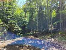 LOT 4 FAIRY FALLS ROAD | Lake of Bays Ontario | Slide Image Nine