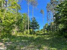 LOT 12 14 CONCESSION Road E | Tiny Ontario | Slide Image Sixteen