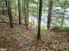 LOT 9 CONCESSION 5 | Lake of Bays Ontario | Slide Image Sixteen