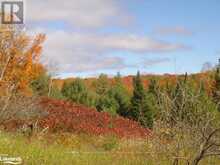 LOT 9 CONCESSION 5 | Lake of Bays Ontario | Slide Image Thirty-two