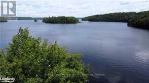 0A 20TH SIDE RD | Parry Sound Ontario | Slide Image Seventeen