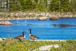 373 EAGLE ROAD | Northern Bruce Peninsula Ontario | Slide Image Forty