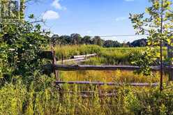 PT 9/10 HIGHWAY 6 | Northern Bruce Peninsula Ontario | Slide Image Ten