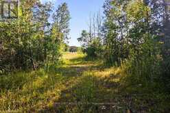 PT 9/10 HIGHWAY 6 | Northern Bruce Peninsula Ontario | Slide Image Thirteen