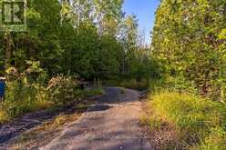 PT 9/10 HIGHWAY 6 | Northern Bruce Peninsula Ontario | Slide Image Fourteen