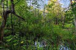 PT 9/10 HIGHWAY 6 | Northern Bruce Peninsula Ontario | Slide Image Twenty-five