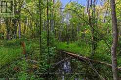 PT 9/10 HIGHWAY 6 | Northern Bruce Peninsula Ontario | Slide Image Twenty-six