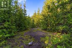 PT 9/10 HIGHWAY 6 | Northern Bruce Peninsula Ontario | Slide Image Thirty-three