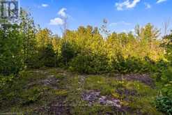 PT 9/10 HIGHWAY 6 | Northern Bruce Peninsula Ontario | Slide Image Thirty-four