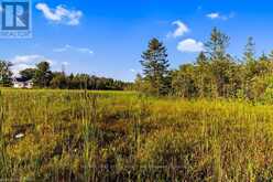 PT 9/10 HIGHWAY 6 | Northern Bruce Peninsula Ontario | Slide Image Thirty-seven