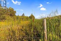 PT 9/10 HIGHWAY 6 | Northern Bruce Peninsula Ontario | Slide Image Thirty-eight