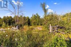 PT 9/10 HIGHWAY 6 | Northern Bruce Peninsula Ontario | Slide Image Eight