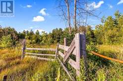 PT 9/10 HIGHWAY 6 | Northern Bruce Peninsula Ontario | Slide Image Nine