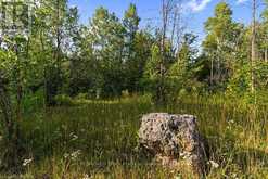 PT 10 HIGHWAY 6 | Northern Bruce Peninsula Ontario | Slide Image Twenty-eight