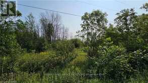 LOT 36 BARTLEY DRIVE | Northern Bruce Peninsula Ontario | Slide Image Ten