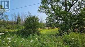 LOT 36 BARTLEY DRIVE | Northern Bruce Peninsula Ontario | Slide Image Four