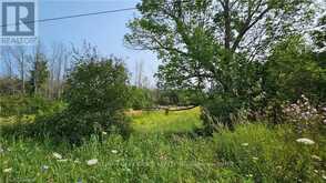 LOT 36 BARTLEY DRIVE | Northern Bruce Peninsula Ontario | Slide Image Five