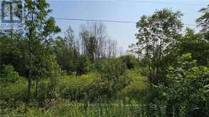 LOT 36 BARTLEY DRIVE | Northern Bruce Peninsula Ontario | Slide Image Nine