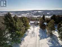 795310 THE BLUE MTNS - CLEARVIEW | The Blue Mountains Ontario | Slide Image Five